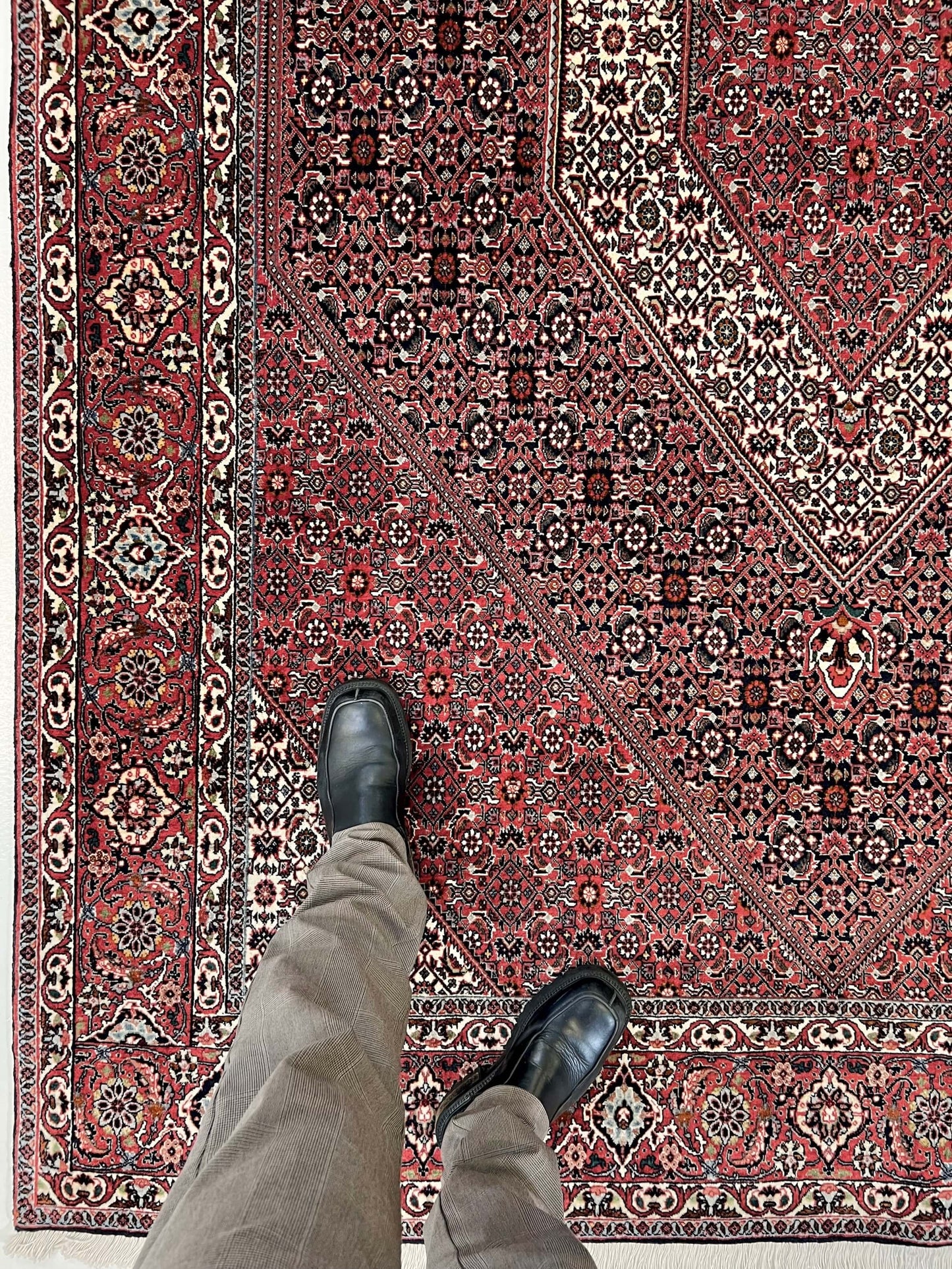 Persian Bijar (6'07"x9'05") red/indigo