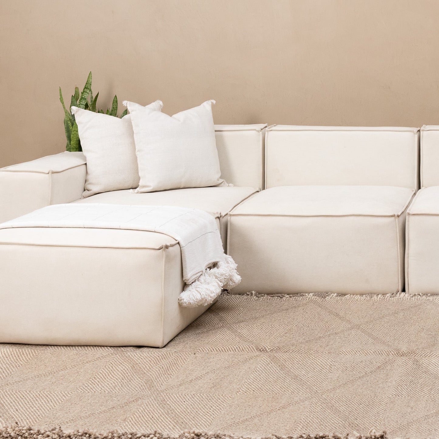 Kamel - taznakht kilim rug