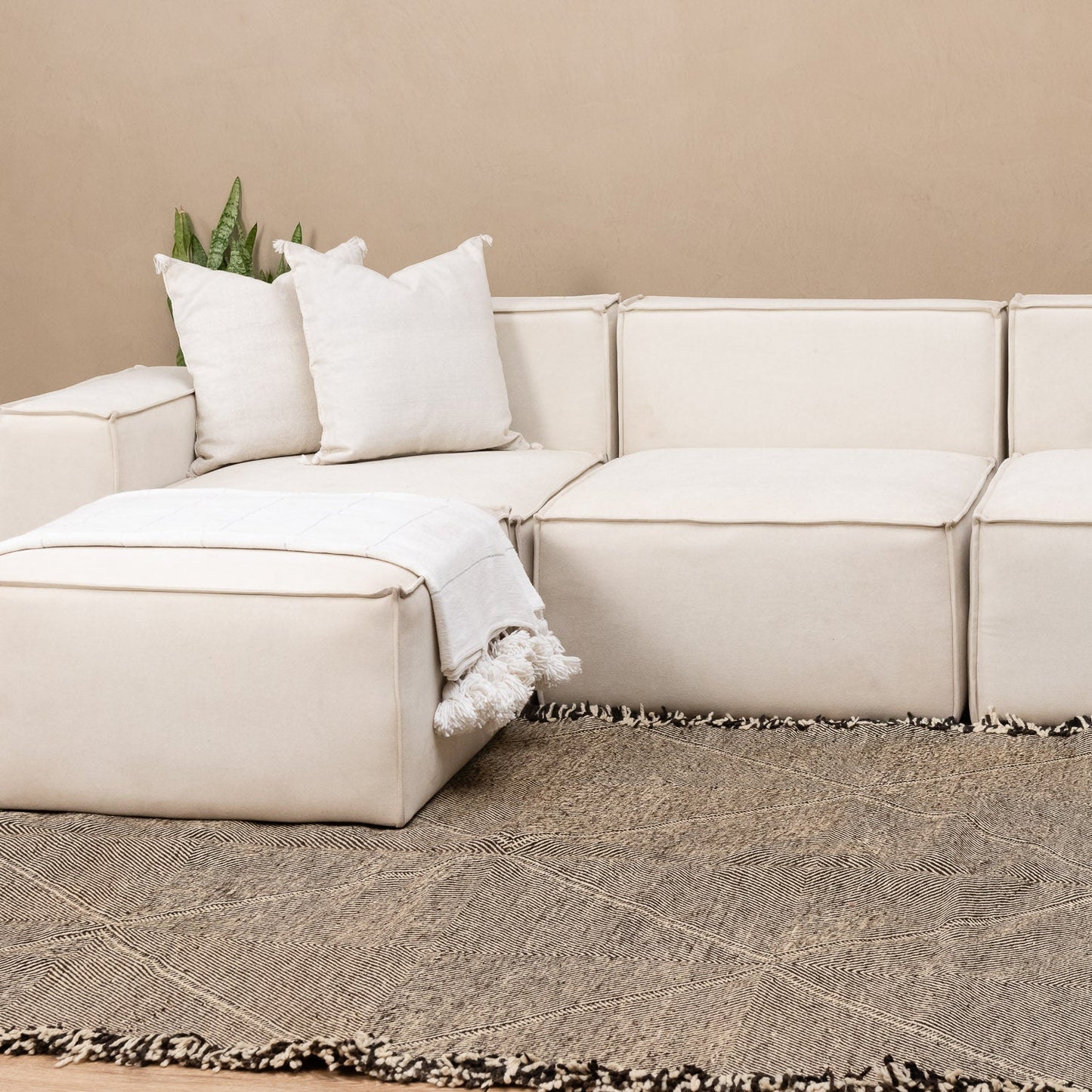 Tamemt - taznakht kilim rug