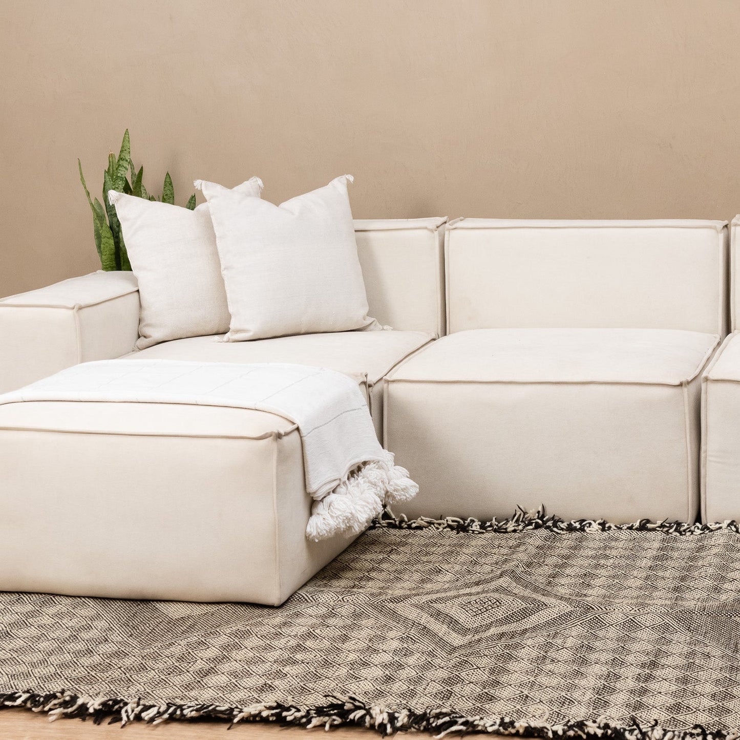 Taniya - taznakht kilim rug