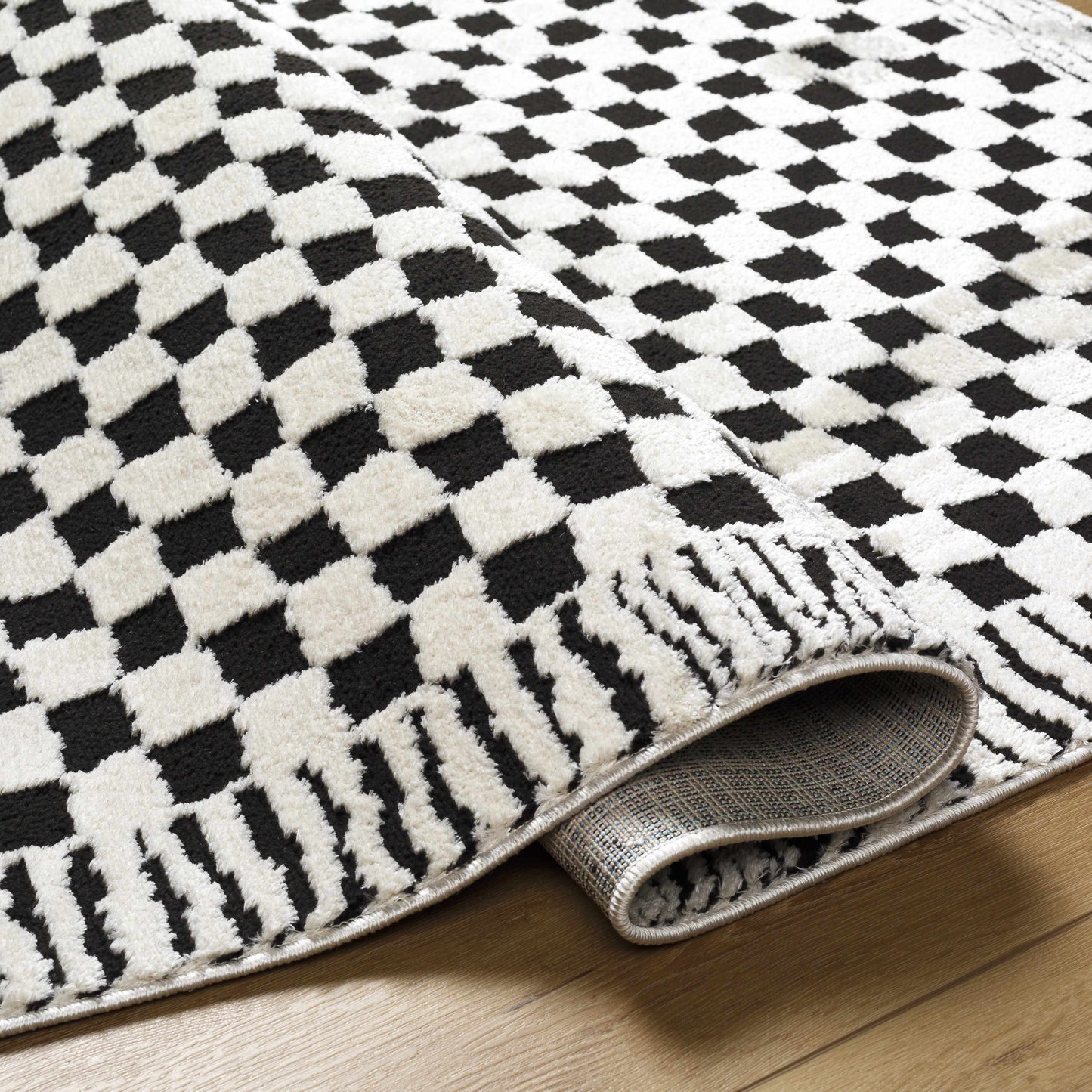 Leryn Black & White Checkered Area Rug
