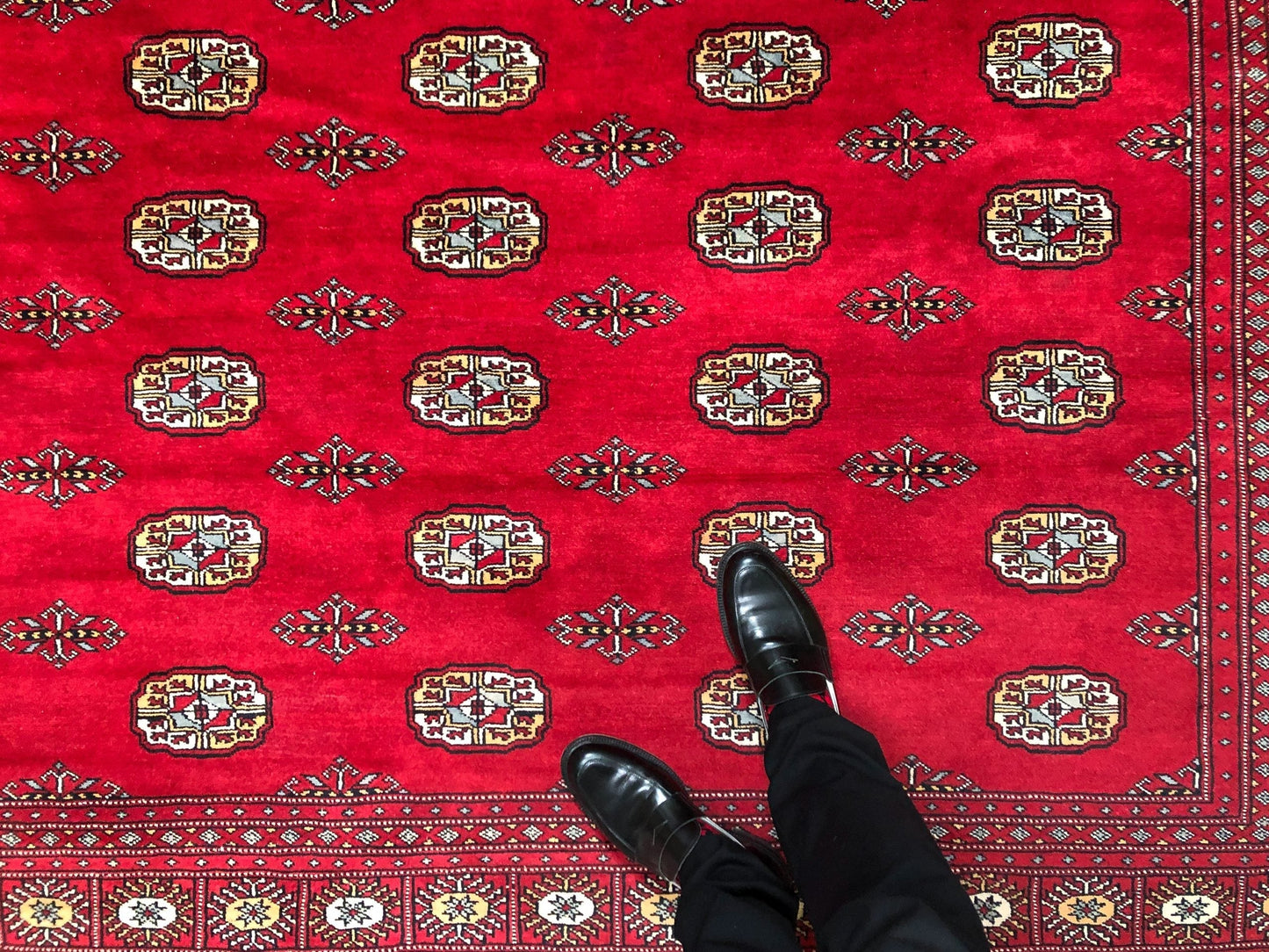 Salor Bokhara (9'02"x11'09") deep red