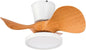 22 Inch Ceiling Fan With LED Light For Kitchen And Bedroom