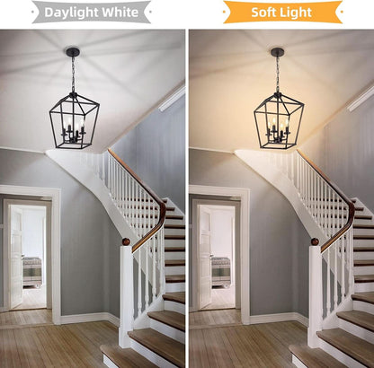 4 Light Black Lantern Chandelier With Adjustable Height