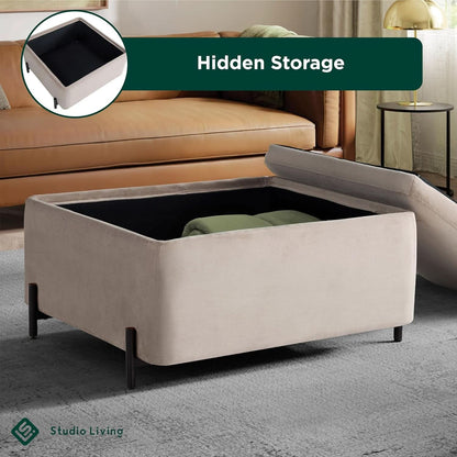 Connor Thirty One Point One Inch Taupe Velvet Storage Ottoman