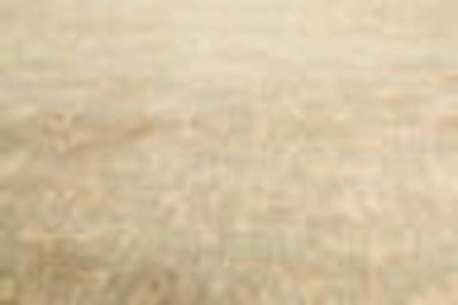 9’ x 12’ Hand Knotted 100% Wool Tibetan Antiqued Area Rug Light Green, Beige