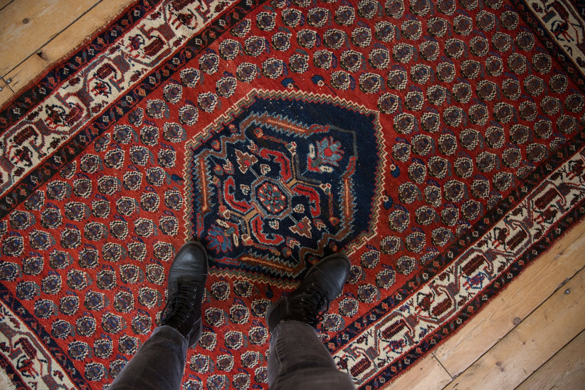4x6 Vintage Serbend Rug
