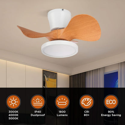 22 Inch Ceiling Fan With LED Light For Kitchen And Bedroom