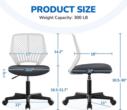 Dark Gray Ergonomic Adjustable Desk Chair Lumbar Support