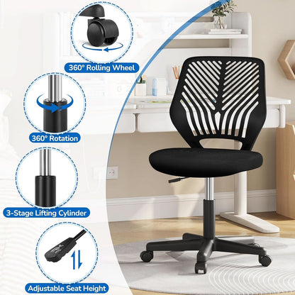 Low Back Armless Desk Chair With Lumbar Support Black