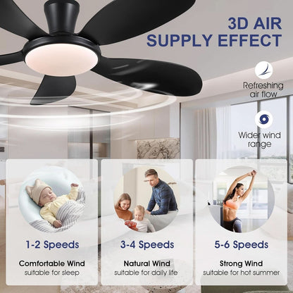 48 Inch Black Ceiling Fan With DC Motor Remote LED