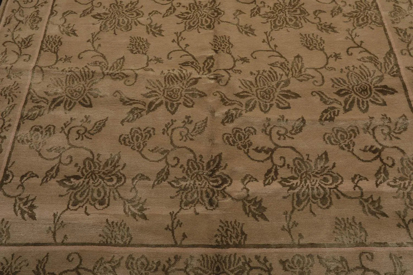 Tibetan Hand Knotted Wool & Silk Transitional Oriental Area Rug Tan 6' x 9'