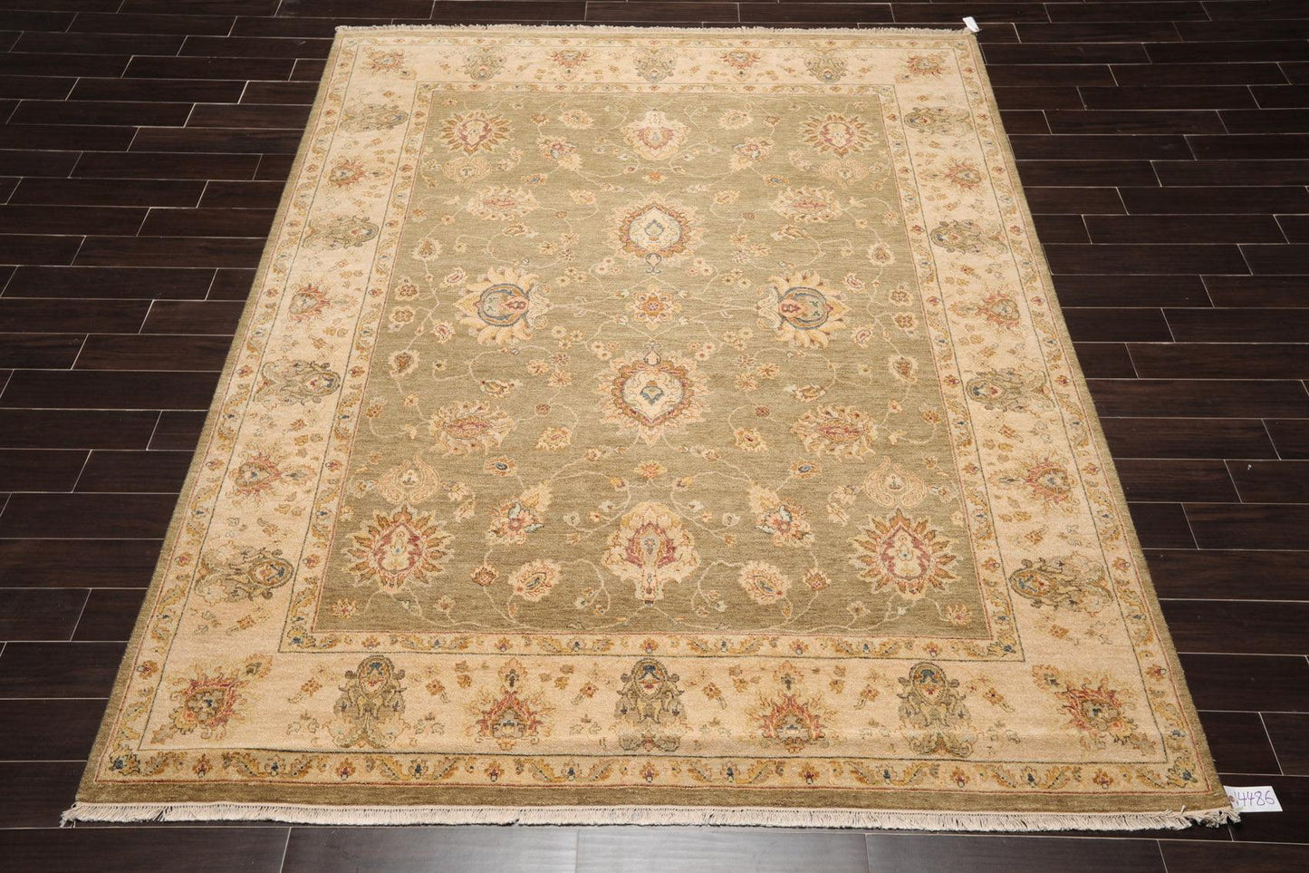 8' x 10'2" Hand Knotted 100% Wool Agra Traditional Oriental Area Rug Pistachio