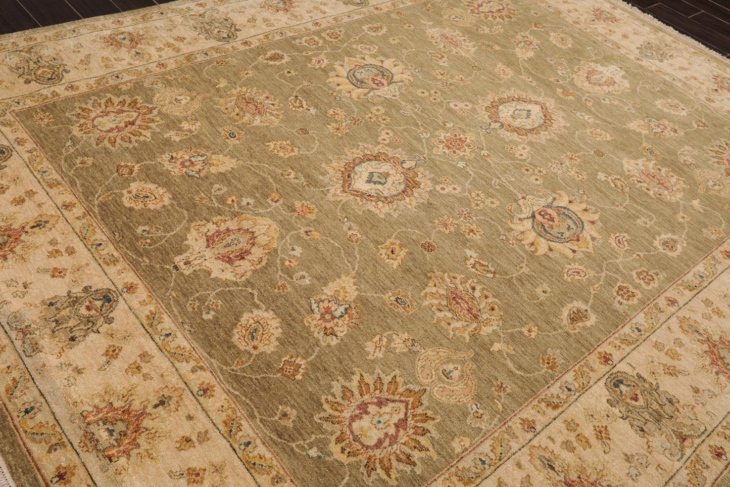 8' x 10'2" Hand Knotted 100% Wool Agra Traditional Oriental Area Rug Pistachio