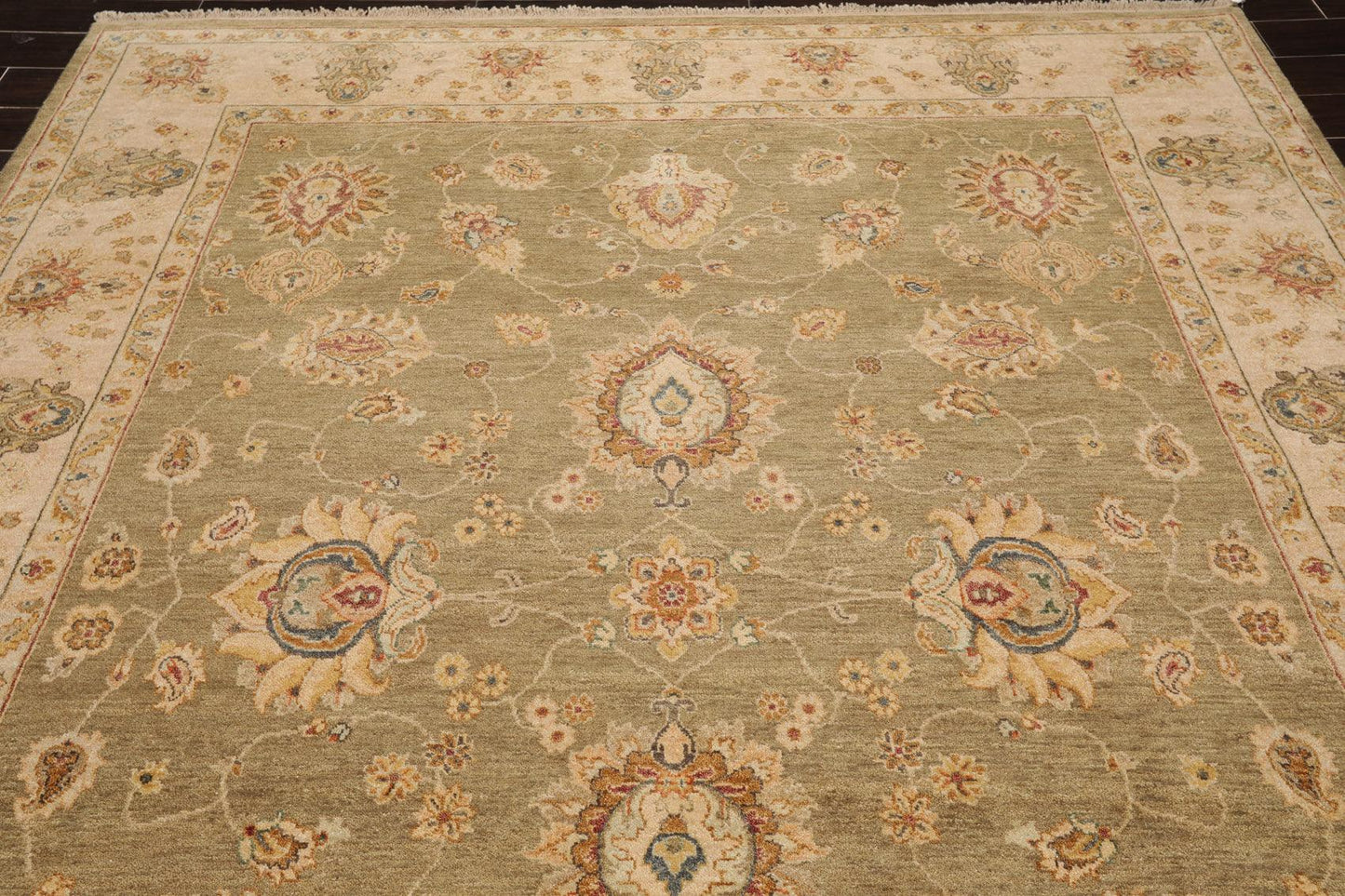 8' x 10'2" Hand Knotted 100% Wool Agra Traditional Oriental Area Rug Pistachio