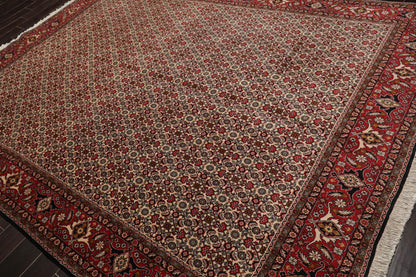8'2" x 11'2" Hand Knotted 100% Wool Authentic Bidjar Oriental Area Rug Ivory