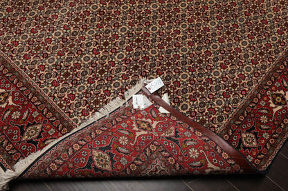 8'2" x 11'2" Hand Knotted 100% Wool Authentic Bidjar Oriental Area Rug Ivory