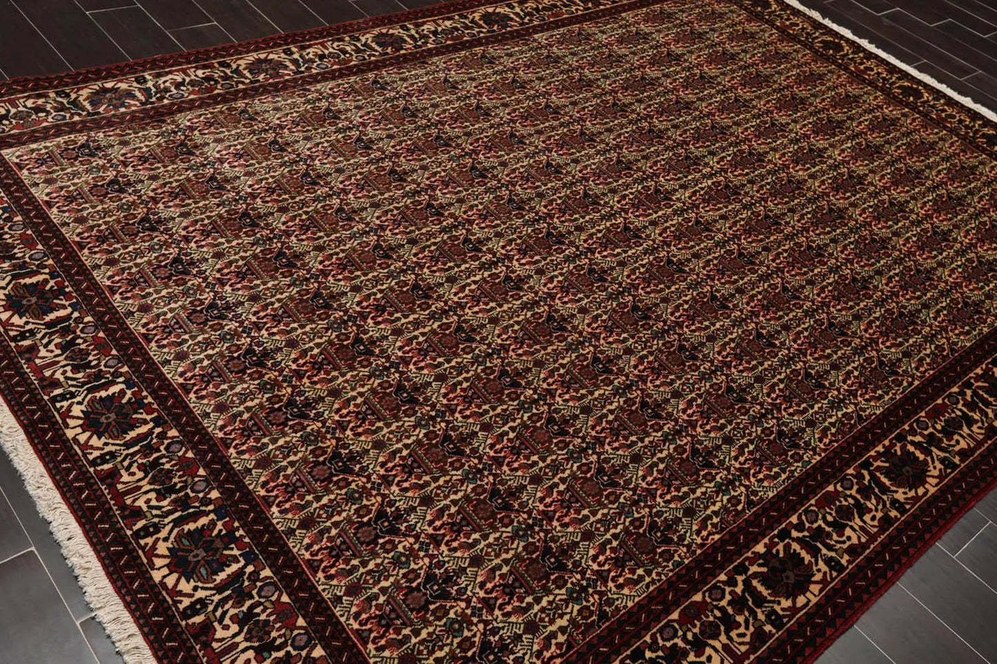 6x9 Ivory, Rust Hand Knotted 100% Wool Vase 200 KPSI Authentic Persian Oriental Area Rug