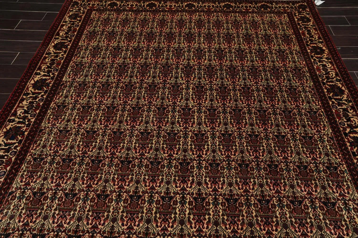 6x9 Ivory, Rust Hand Knotted 100% Wool Vase 200 KPSI Authentic Persian Oriental Area Rug