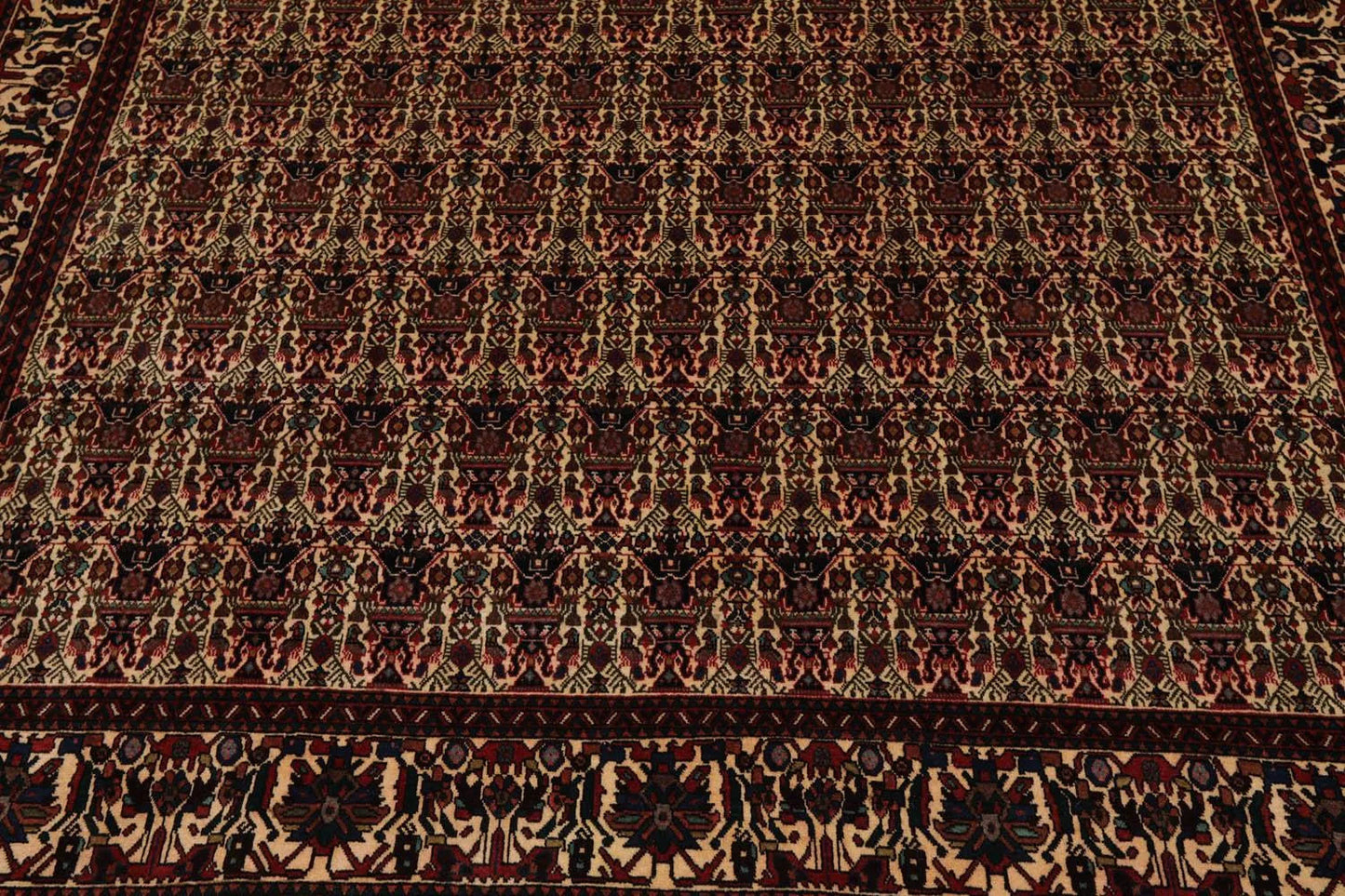 6x9 Ivory, Rust Hand Knotted 100% Wool Vase 200 KPSI Authentic Persian Oriental Area Rug