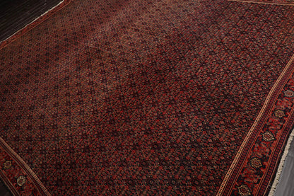 10' x13' 2'' Hand Knotted Persian 100% Wool Antique  Traditional  Oriental Area Rug Black,Orange Color