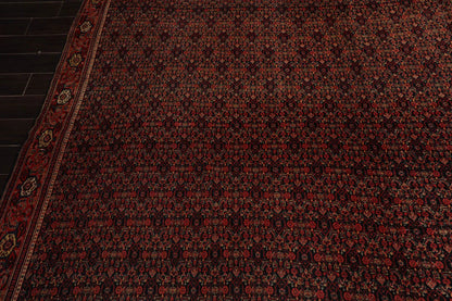 10' x13' 2'' Hand Knotted Persian 100% Wool Antique  Traditional  Oriental Area Rug Black,Orange Color