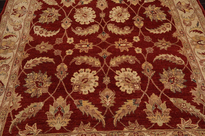 6x9 Rust, Beige Hand Knotted Persian 100% Wool Chobi Peshawar Traditional  Oriental Area Rug