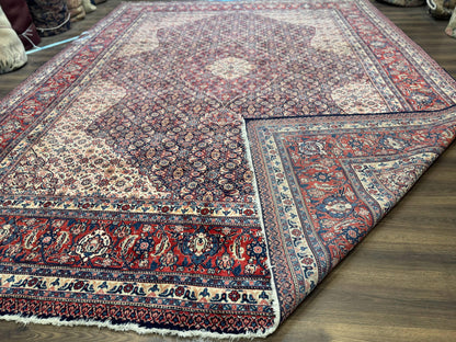 Persian Tabriz Rug 11x14 Navy Blue Herati Wool Carpet