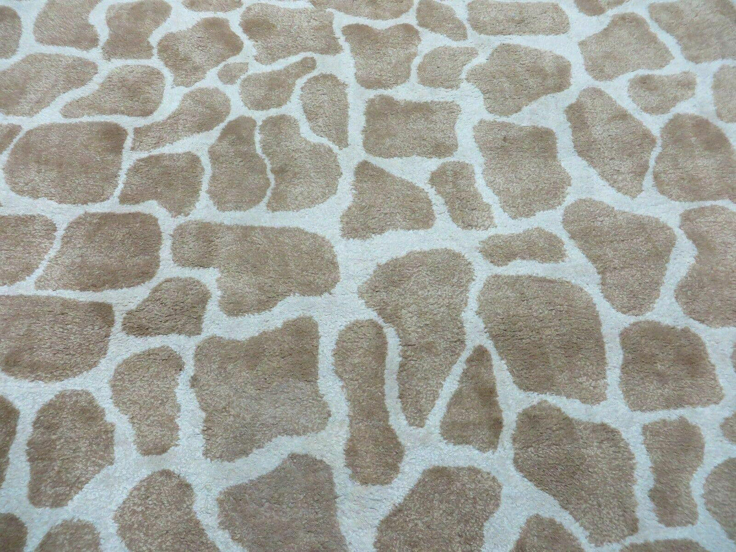 6x9 Safavieh Rug