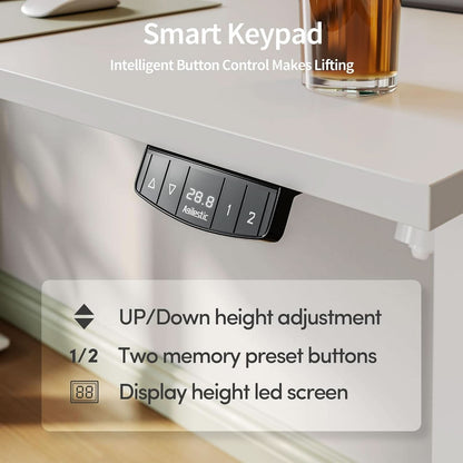Electric Standing Desk 48x24 Height Adjustable Unit