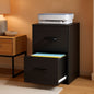 Two Drawer Locking Steel File Cabinet for Home Office Vertical Letter Size Black