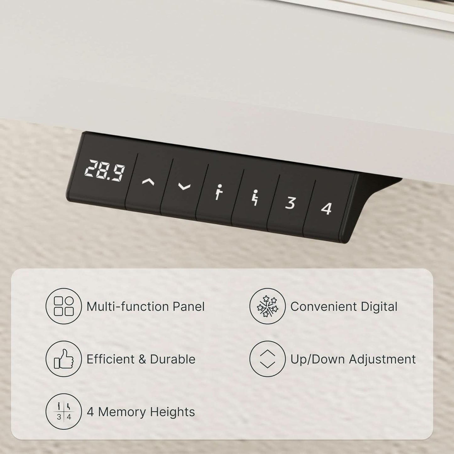 EN1 Electric Standing Desk 48x24 Inches White Frame