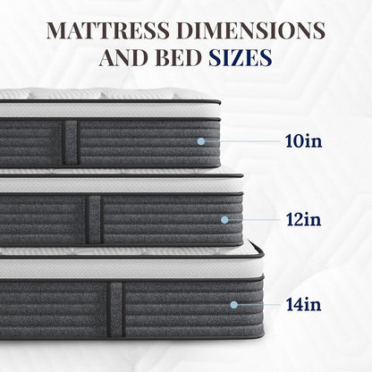 Queen 14 Inch Hybrid Mattress CertipurUS Edge Support