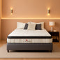 Queen TwelveInch MemoryFoam Hybrid Mattress CertipurUS