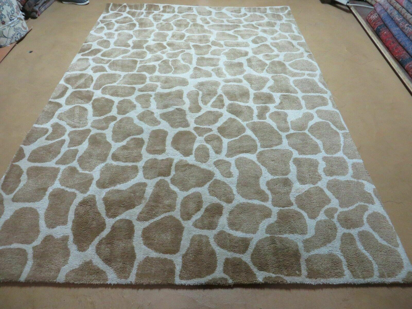 6x9 Safavieh Rug
