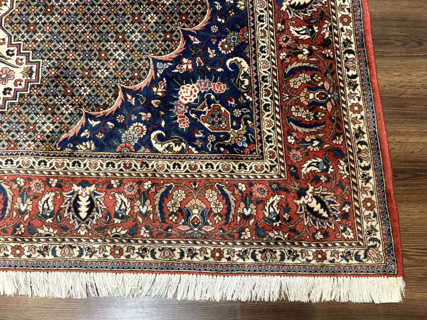 Persian Rug 7x10, Bakhtiari Saman Rug, Unique Design and Colors, Ivory Red Blue, Large Tribal Rug