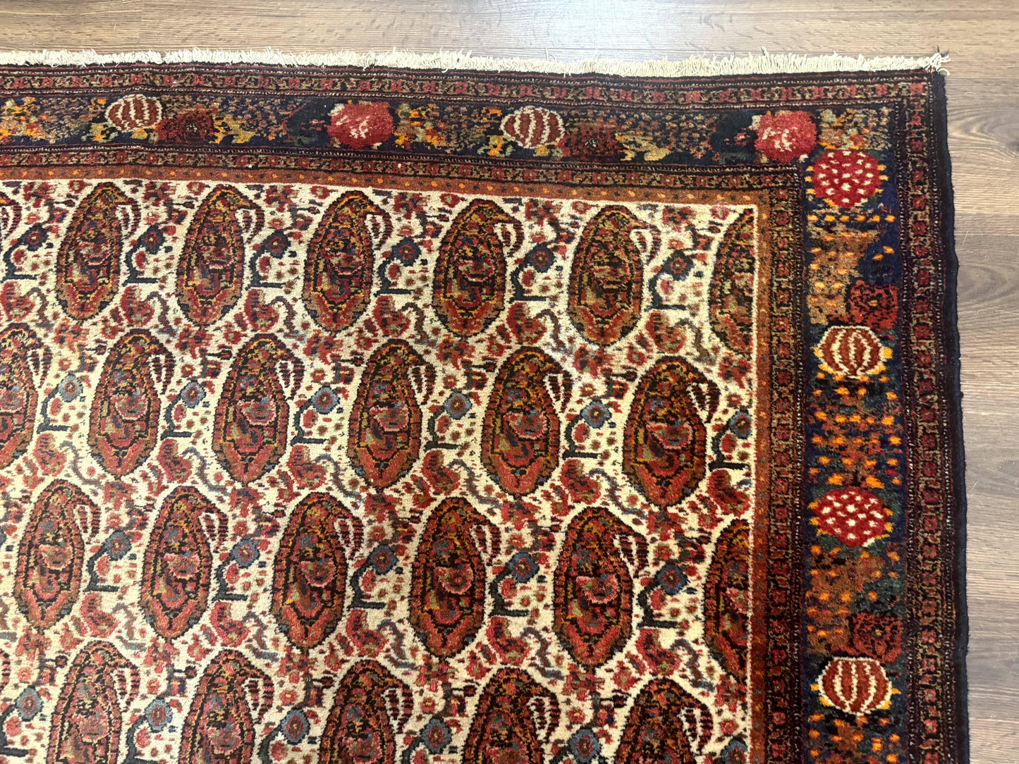 Antique Persian Kurdish Senneh Rug 4.6 x 6.5, Repeated Paisely Boteh Design, Handmade