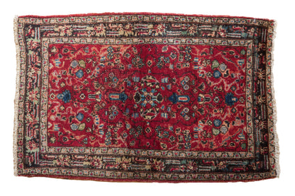 2.5x4 Vintage Lilihan Rug Mat