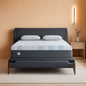 Queen Dreamlife Gel Memory Foam Mattress Surface Guard