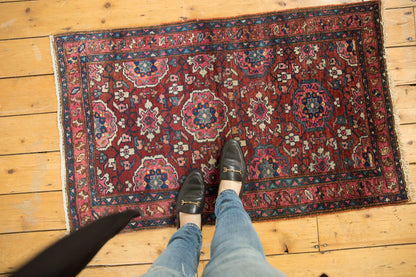 2.5x4 Vintage Lilihan Rug