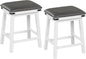 24 Inch Counter Height Bar Stools Set of Two