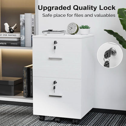 2 Drawer Locking File Cabinet For Letter Size Folders With Tabs, Mobile Under Desk