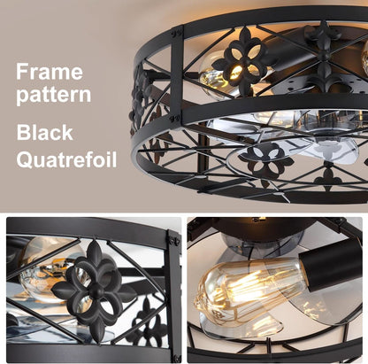 Caged Ceiling Fan 20 Inch Matte Black Remote Control