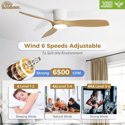 52 Inch Smart Ceiling Fan With Lights Remote App Control