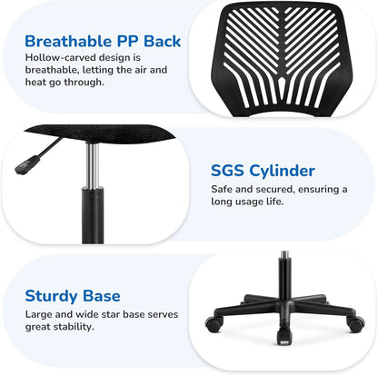 Low Back Armless Desk Chair With Lumbar Support Black