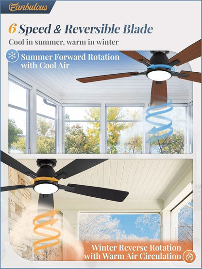 52 Inch Ceiling Fan With Lights Remote App Control