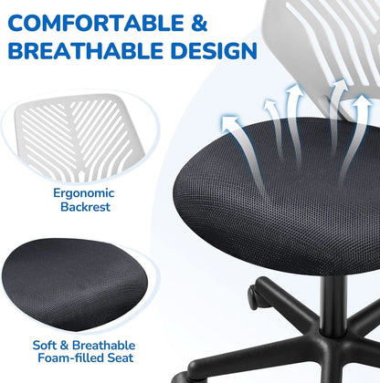 Dark Gray Ergonomic Adjustable Desk Chair Lumbar Support