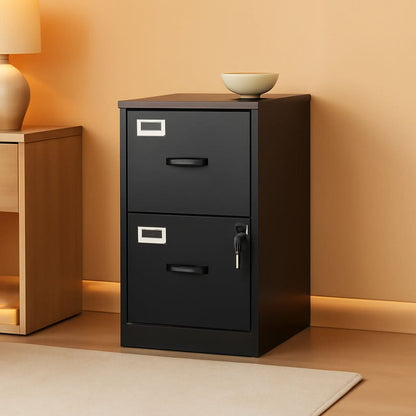 2 Drawer Locking Vertical File Cabinet For Letter Size Files Steel Office Storage