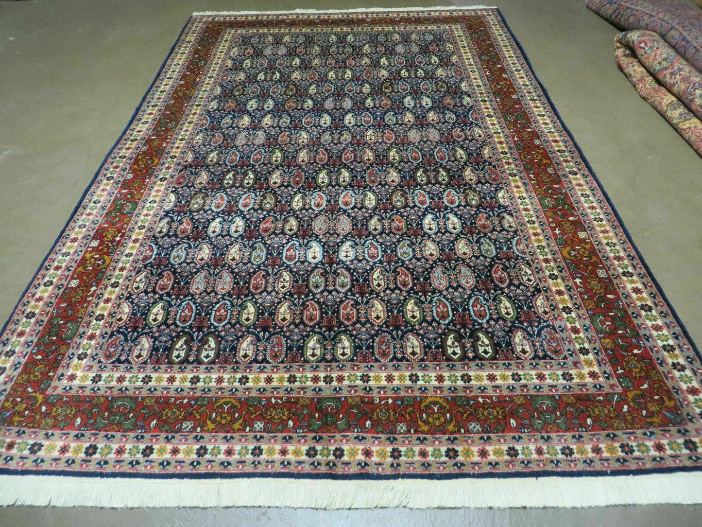 6' X 9' Vintage Fine Handmade India Paisley Rug Hand Knotted Carpet Organic Dye