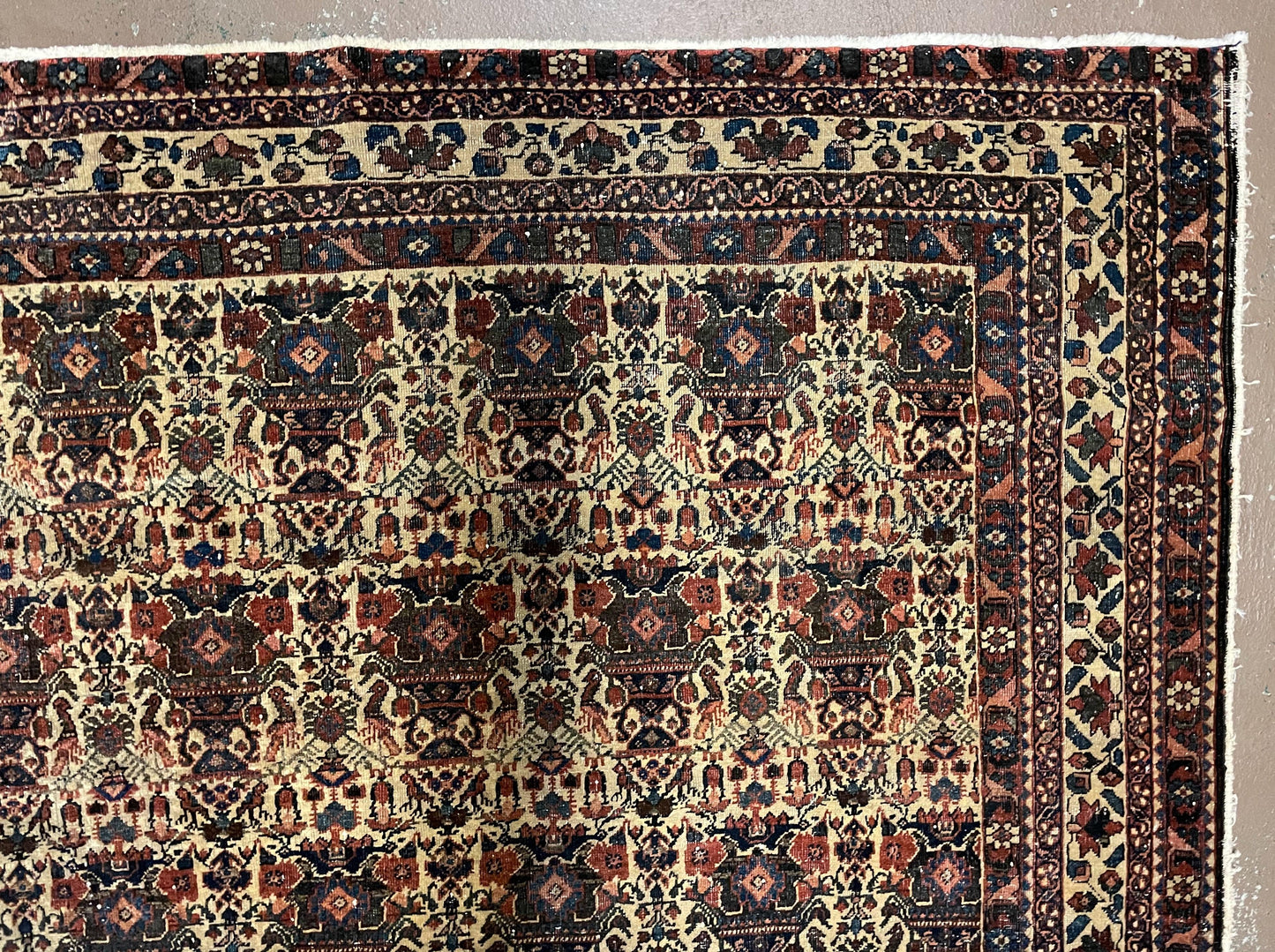 Antique Persian Afshar Rug 5x7, Wool Hand Knotted Oriental Carpet 5 x 7 ft, Repeated Motif Allover, Cream and Maroon, Tribal Rug, Medium Sized Rug,  Zil-i-Sultan Design